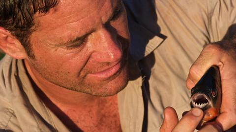 60 zvířecích zabijáků - Epizoda 19/20