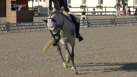 Jezdectví - M ČR pony 2017 Zduchovice