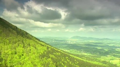 Pod pokličkou - Lesem, loukou, zahradou vydej se za potravou