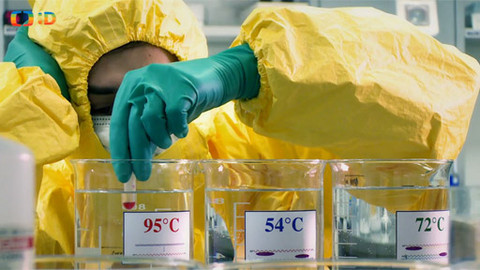 Lovci záhad - Buněční piráti