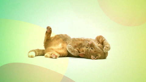 Chcete mě? - 16. března 2000