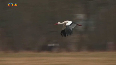 Zprávičky - 26. února 2019