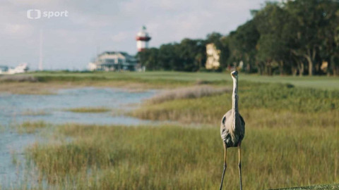 Golf Time - 3. listopadu 2022