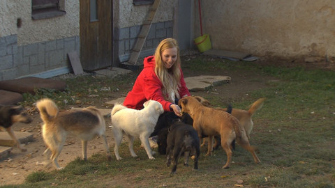 Chcete mě? - 22. listopadu 2015