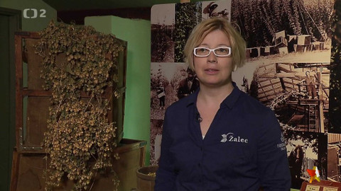 Evropa dnes - Inovace, inovace