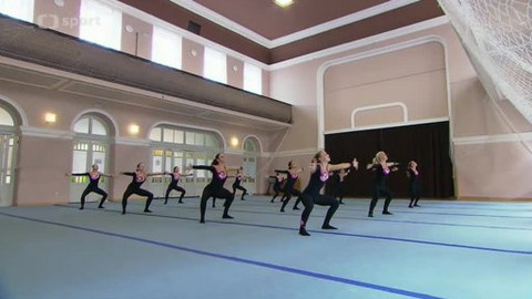 Žijme sportem! - Team gym