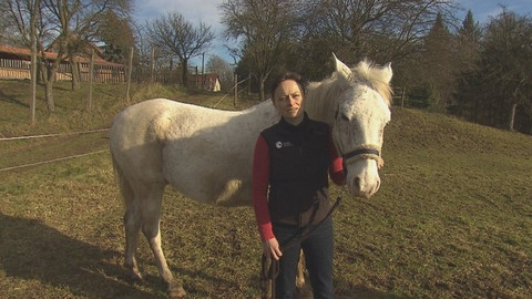 Chcete mě? - 18. února 2018
