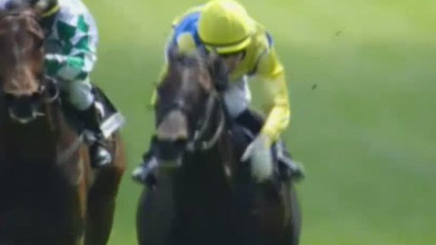 Jezdectví - Cena prezidenta republiky