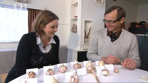 Černé ovce - 24. ledna 2013