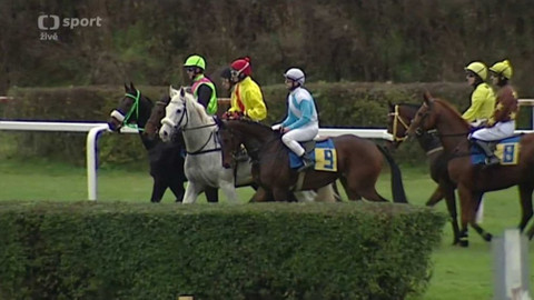 Dostihy - Velká slušovická steeplechase 2017