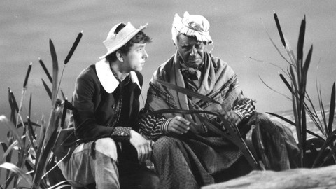 Dobrodružství Huckleberryho Finna - 2/2 Jak jsme osvobozovali Jima