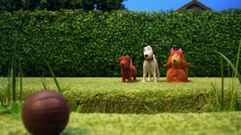 Rusty - 15/52 Psí triky