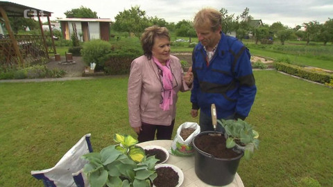 Hobby naší doby - 29. června 2019