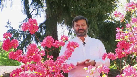 Sváteční slovo - Sváteční slovo kazatele Církve bratrské Jana Asszonyiho