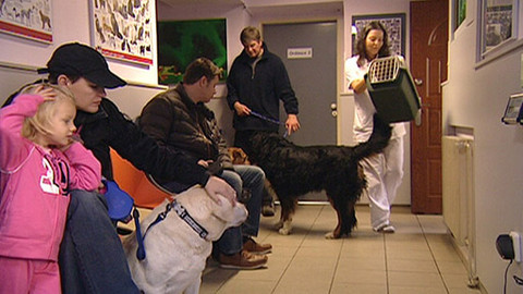 Zprávičky - 3. března 2012