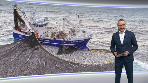 Horizont ČT24 - 20. listopadu 2024