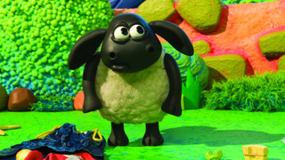Kamarád Timmy