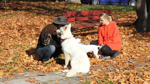 Kočka není pes - Anarchistický Raf a lovec Rocky