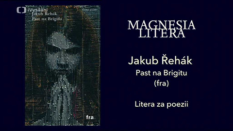 Magnesia Litera - Litera za poezii