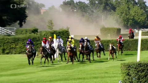 Turf - 16. září 2015