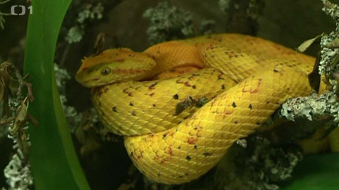 Toulavá kamera - 18. října 2015