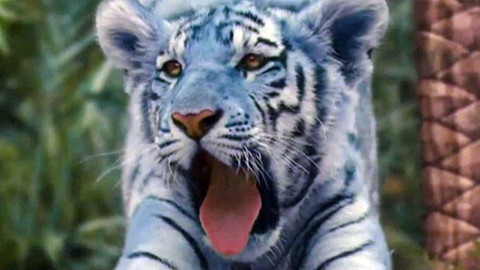 Zprávičky - 14. dubna 2012