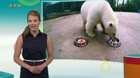 Zprávičky - 20. června 2017