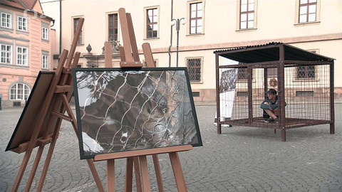 Nedej se! - Advokáti zvířat