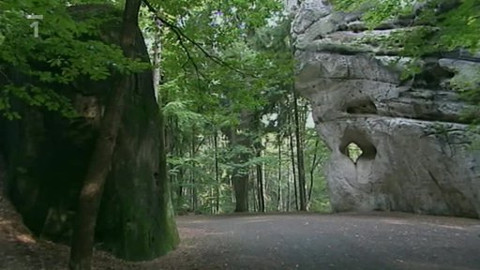 Toulavá kamera - 23. října 2011