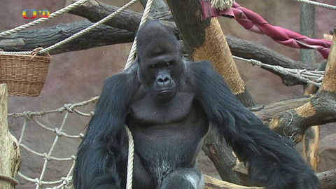 Zprávičky - 9. června 2021