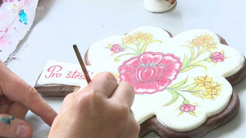 Regiony ČT24 - 25. května 2024