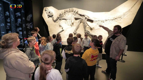 Zprávičky - 31. března 2024