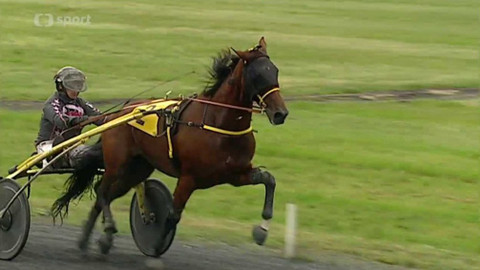 Dostihy - XXV. České klusácké derby