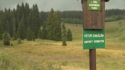 Archiv ČT24 - Hrr na ně! - Hlodavci a hmyzí škůdci