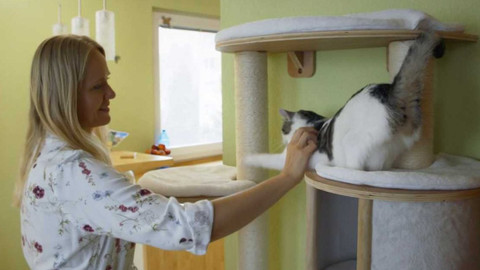 Kočka není pes - Strašpytel Marley a nekontaktní Sissinka