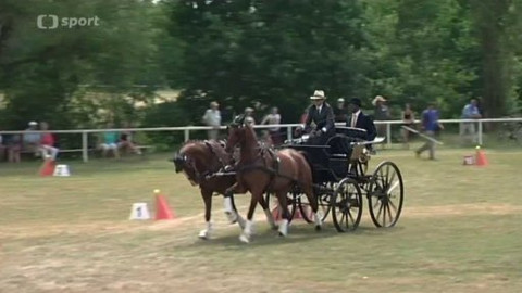 Jezdectví - SP spřežení 2015 Nebanice