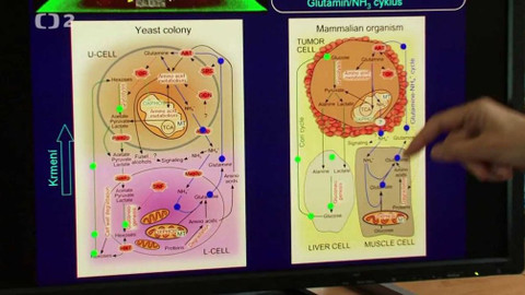 O vědě a vědcích - Společnou cestou