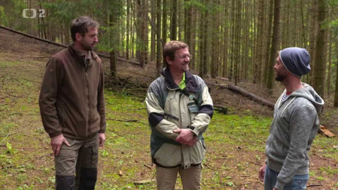 Nedej se! - Lesní revoluce