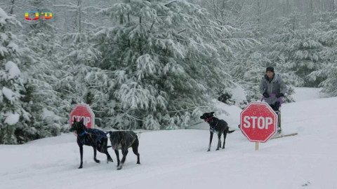 Nejlepší zvítězí: Severní Amerika - Epizoda 3/11