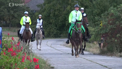 Koně a sport - 4. září