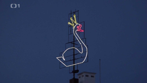 Gejzír - 28. března 2019