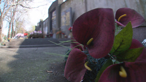 Moje soukromá válka - 25 let proti