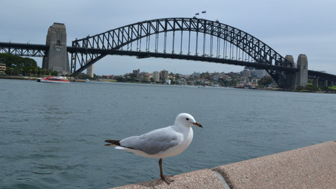 Postřehy odjinud - Austrálie očima Vladimíra Kroce