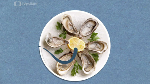 To je něco! - Jak ústřice vyrábějí perly?