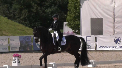 Jezdectví - Mezinárodní drezurní závody CDI-W Olomouc