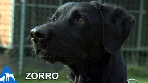 Chcete mě? - Chcete je?