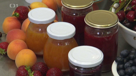 Hobby naší doby - Hobby naší doby - letní speciál