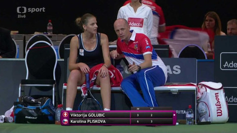 Fed Cup 2016 - Švýcarsko - Česko (semifinále)