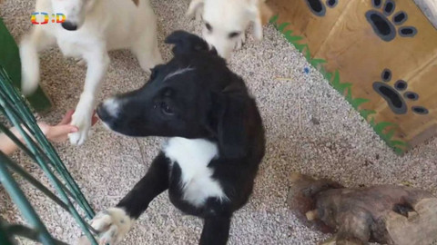 Zprávičky - 22. října 2019