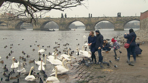 Z metropole - 11. února 2017